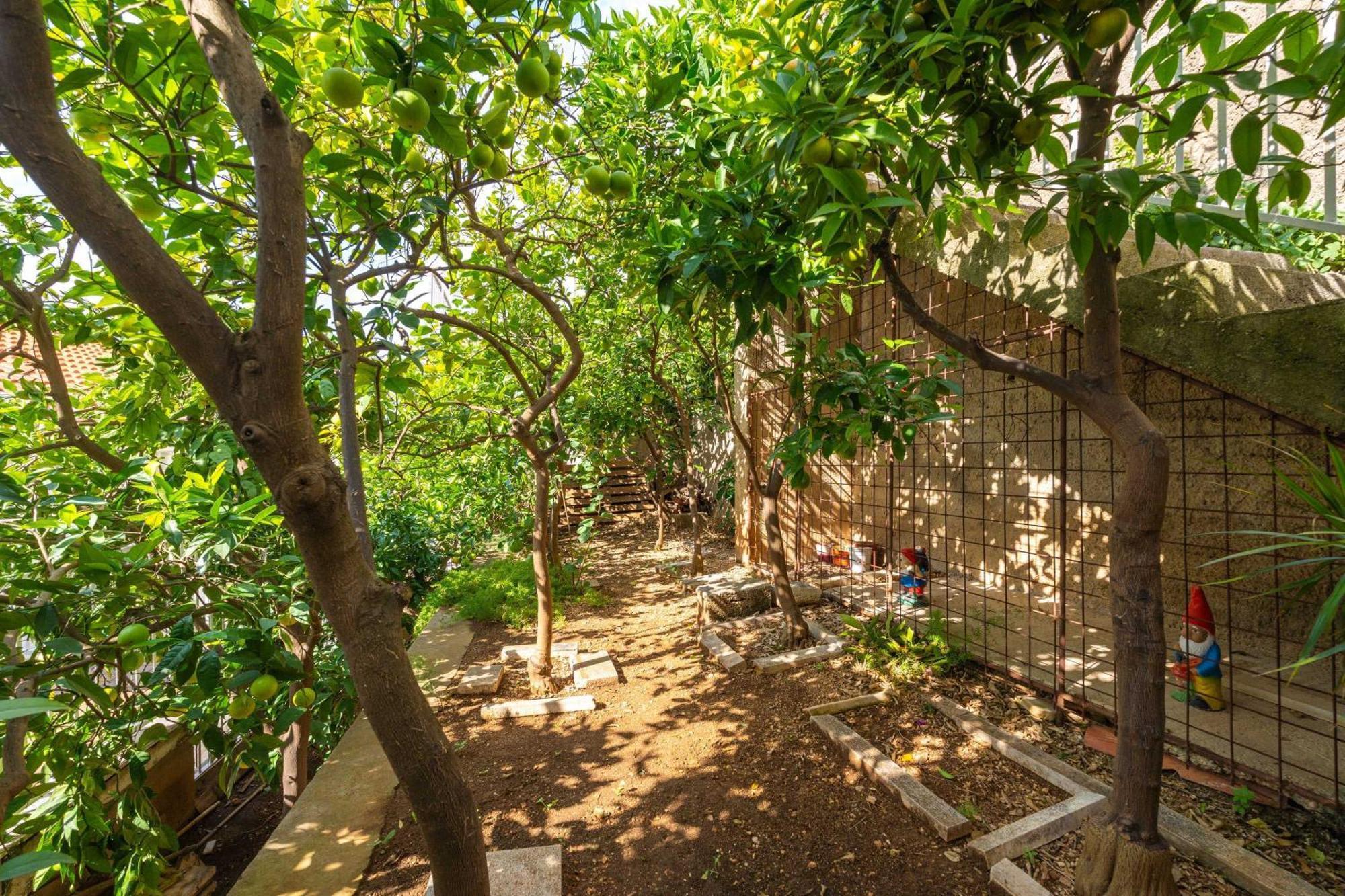 דוברובניק Apartment And Room Cicko מראה חיצוני תמונה